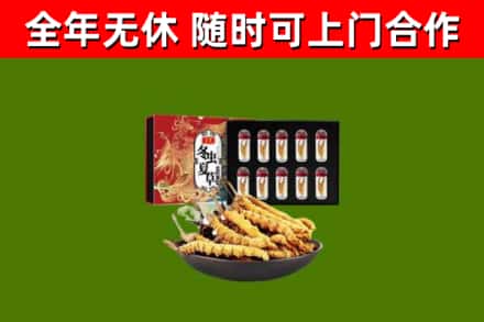 广宁烟酒回收冬虫夏草礼盒.jpg